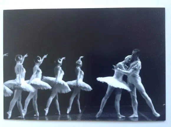 Performing Arts Estudio Maite Gonzalo. - Madrid