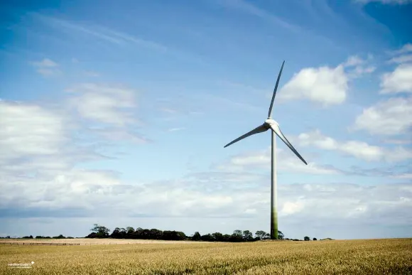 Vector Renewables
