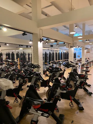 B3B Woman Studio Madrid