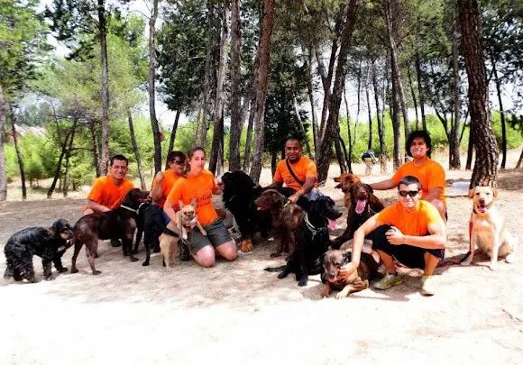 PuLyGaR (Servicio Integral de Mascotas) - Madrid
