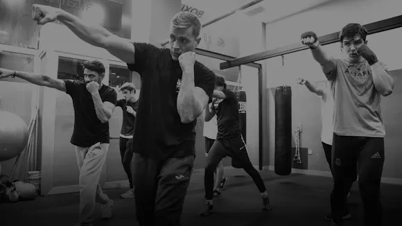 The Boxer Club Estudiantes - Madrid