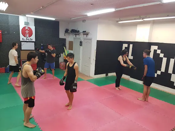 El Dojo Madrid, Escuela de artes marciales - Madrid