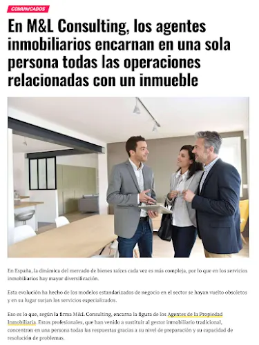 M&L Consulting