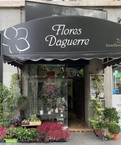 Flores Daguerre