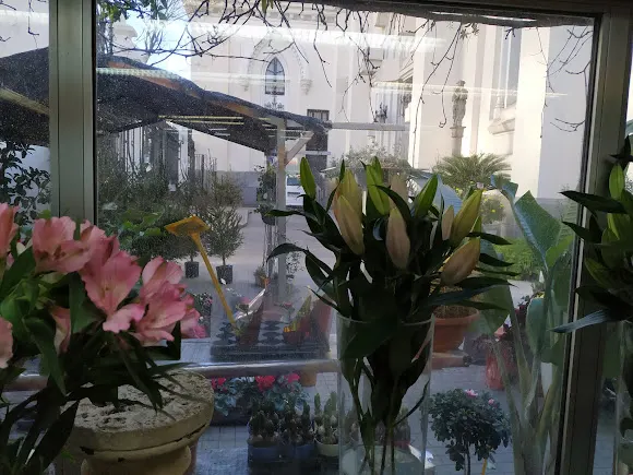 Ángel Florista