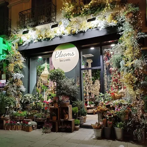 Floristería Blooms