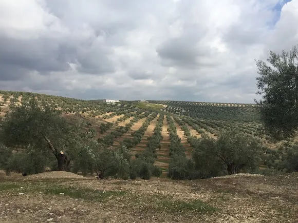 Cortijo Zahan