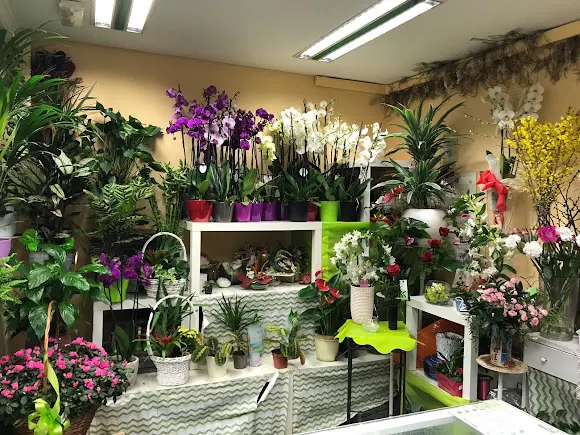 Yamil Floristas