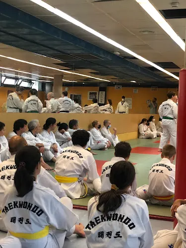 taekwondo Madrid - Madrid
