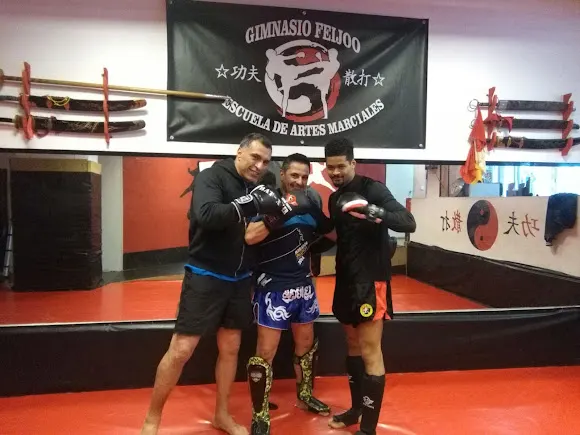 Gimnasio Feijoo - Madrid