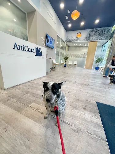 AniCura Velázquez Hospital Veterinario - Madrid