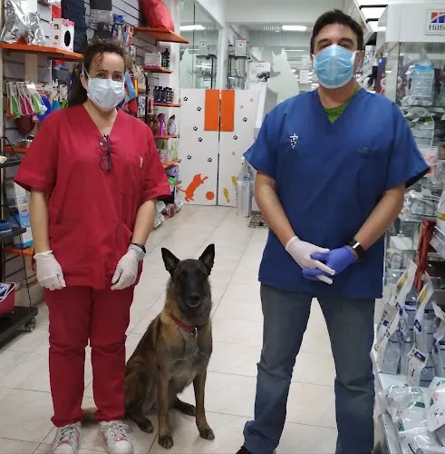 Clínica Veterinaria Caservet Hermosilla - Veterinario en Madrid