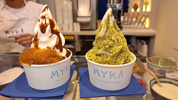 MYKA Greek Frozen Yogurt