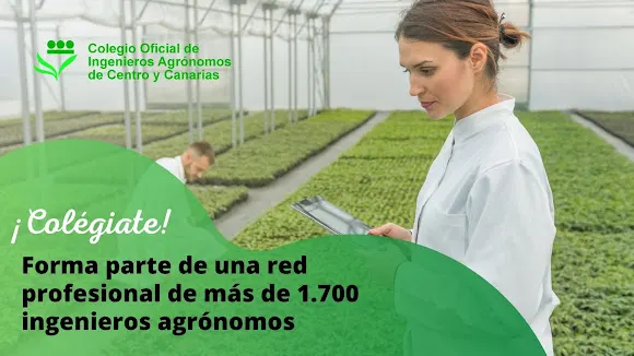Colegio Oficial de Ingenieros Agronomos de Centro y Canarias - Ingeniero agrónomo en Madrid