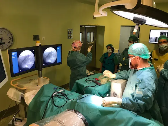 Dr. Edgar Enrique Ferreira Martins, Neurocirujano, Especialista en Cirugia Espinal - Madrid