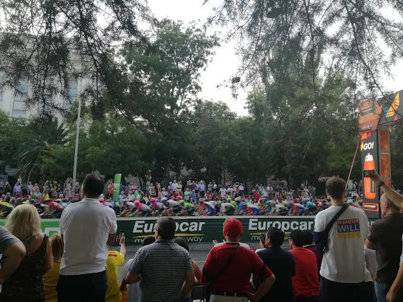 Organismo Internacional de Juventud