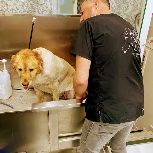 Peluquería Canina - KIKU - - Madrid