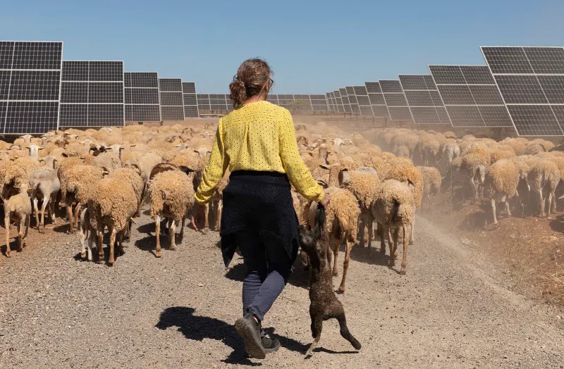 Unión Española Fotovoltaica (UNEF)