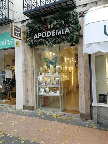 Apodemia - Madrid