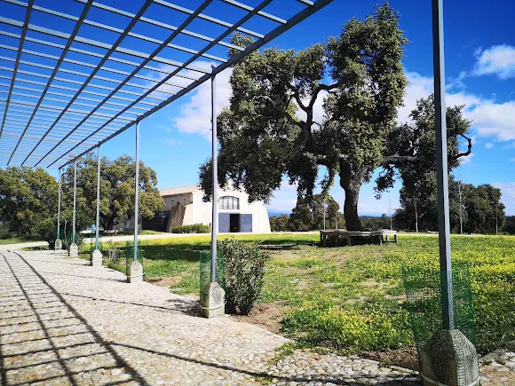 Bodegas Arrayán SL-La Verdosa SL